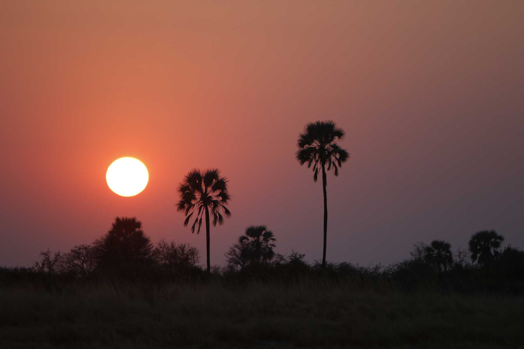 Budget mobile safaris with Chase Africa Safaris Budget mobile safaris with Chase Africa Safaris